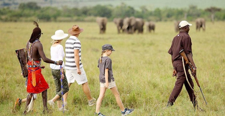 walkingsafari